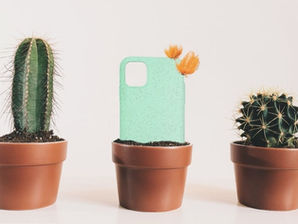 Win: Sleek & Sustainable iPhone Cases From itto