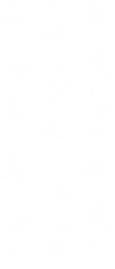 00E07CB0-4817-4244-99B0-5AEC66AC52F6_edited.png