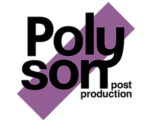 Logo Polyson