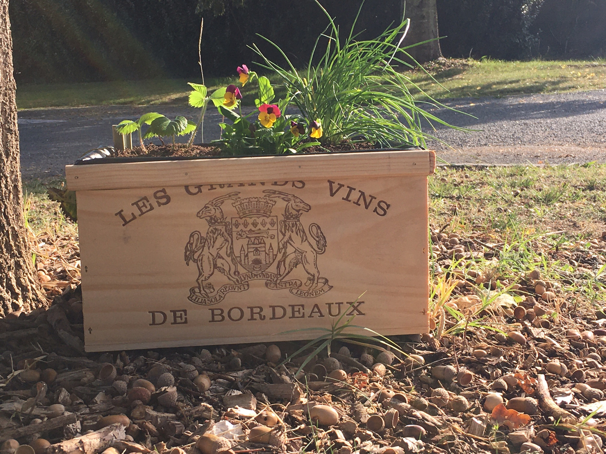 Le Wicking-bed / mini potager autonome en eau - Le 4 saisons