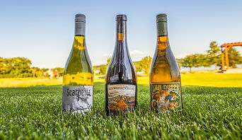 Pigs & Pinots 2024