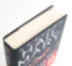 View of the top edge of the first edition of Project Hail Mary by Andy Weir