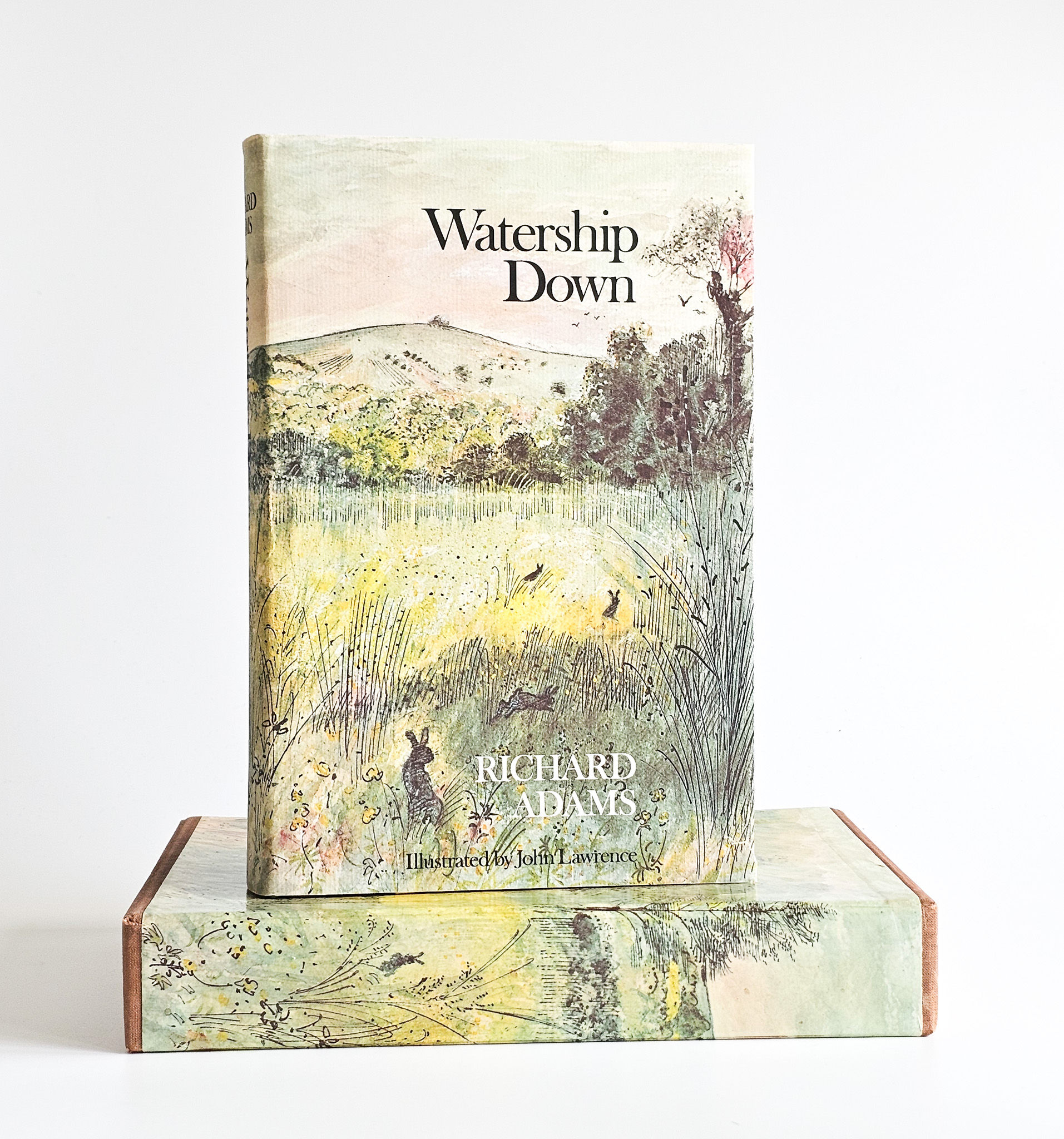 Watership Down illustrated edition, Kestrel 1976, in dust jacket standing on its pictorial slipcase