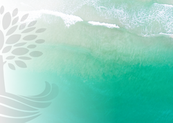 TRVPB Grand Opening Invitation 5 x 7 car