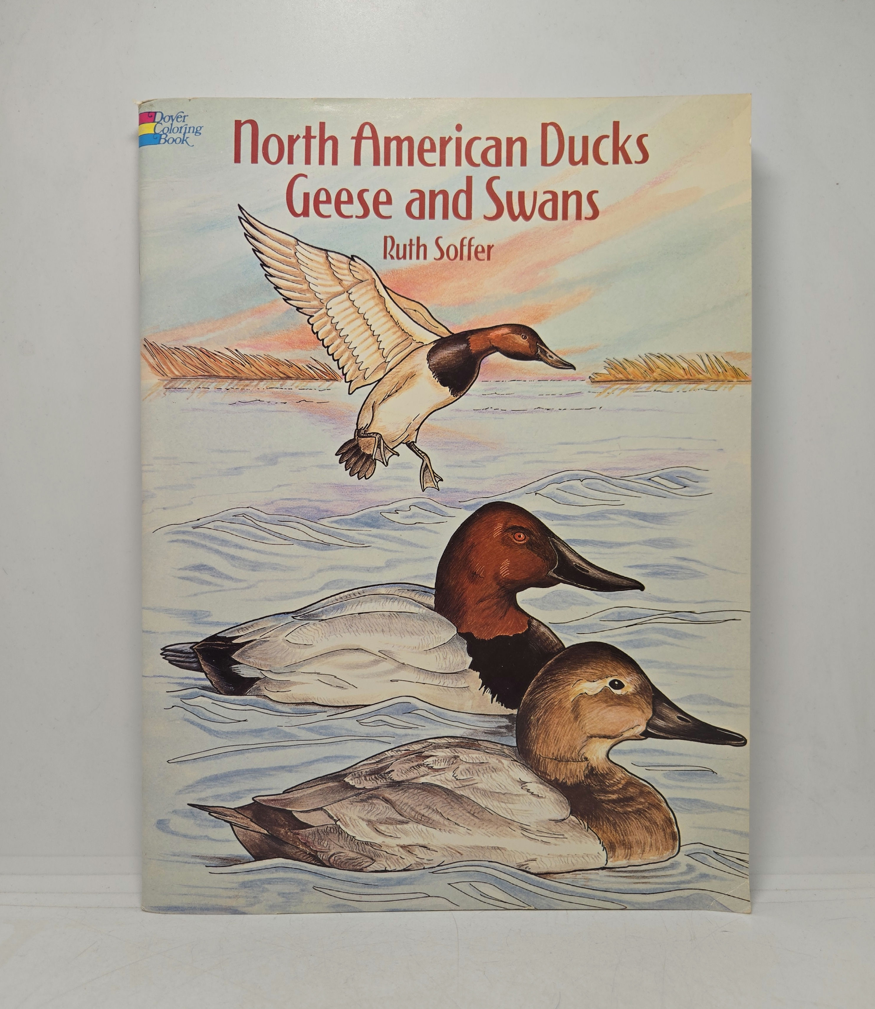 North American Ducks Geese and Swans by Ruth Soffer