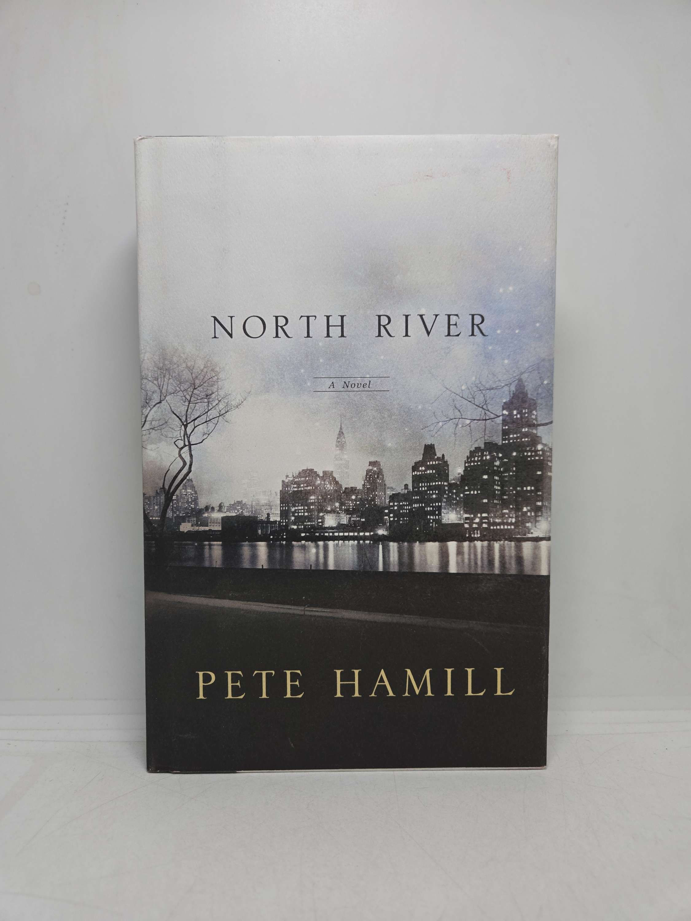 North River by Pete Hamill