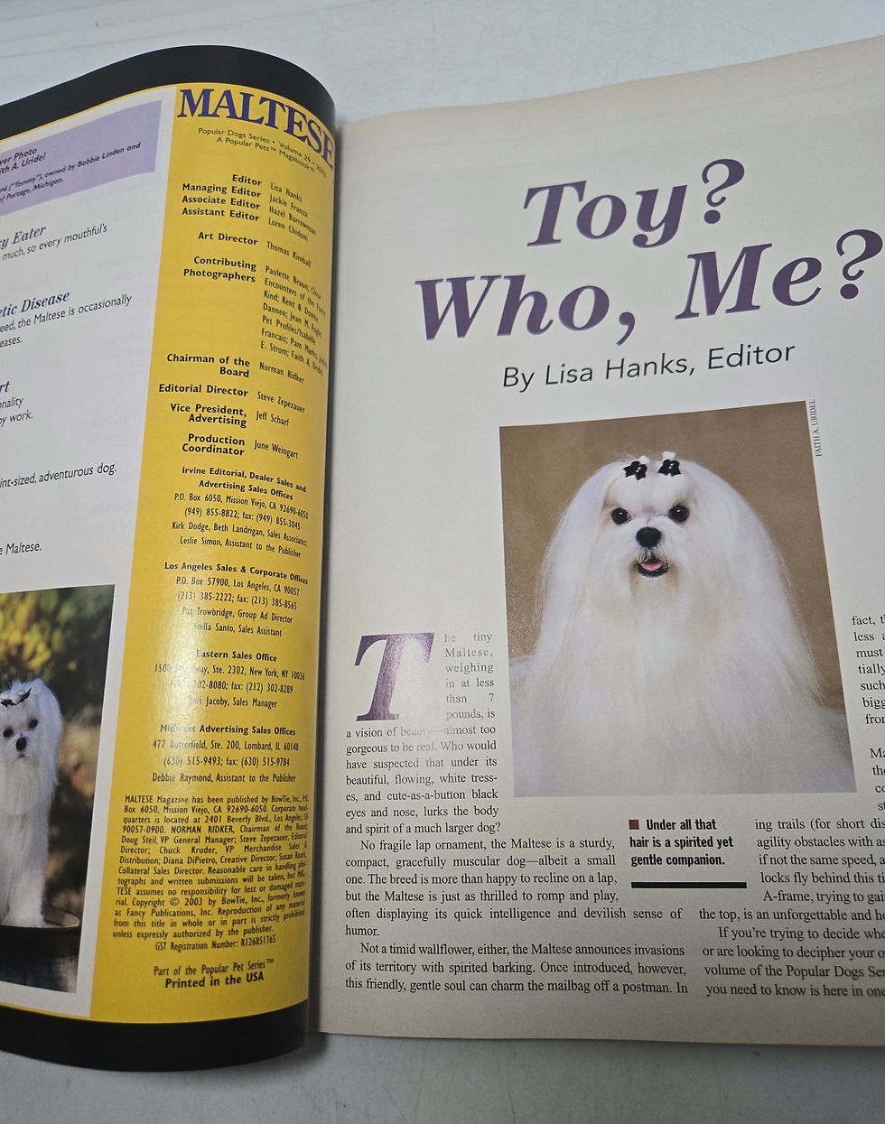 Thumbnail: Maltese: All About America's Favorite Dogs Magazine