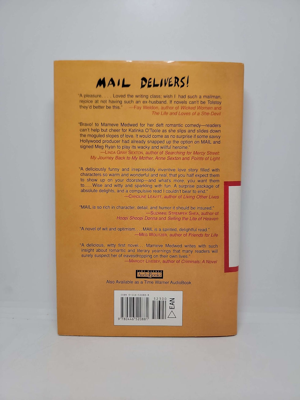 Thumbnail: Mail: A Novel by Mameve Medwed