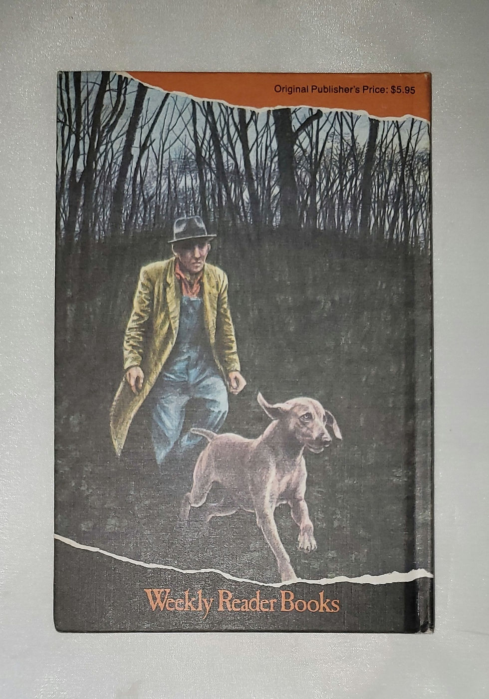 Thumbnail: The Gray Ghosts of Taylor Ridge by Mary Francis Shura, Illus. Michael Hampshire 