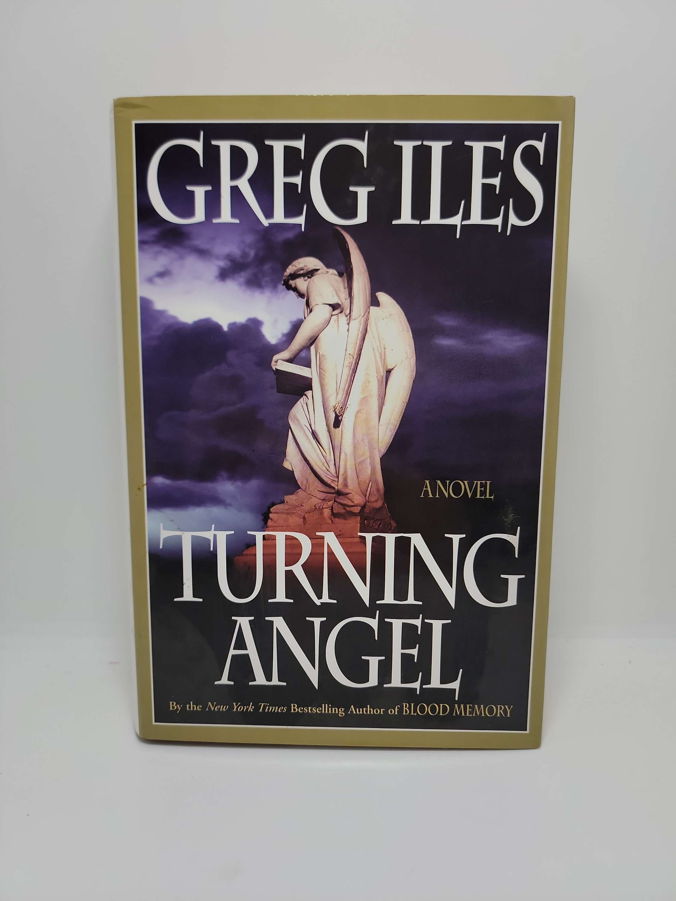 Turning Angel by Greg Iles