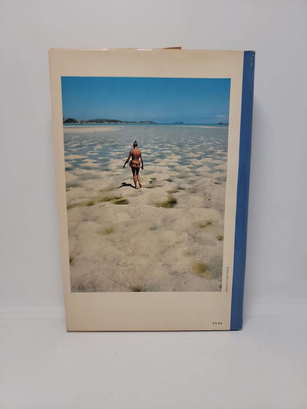 Thumbnail: Castaway by Lucy Irvine