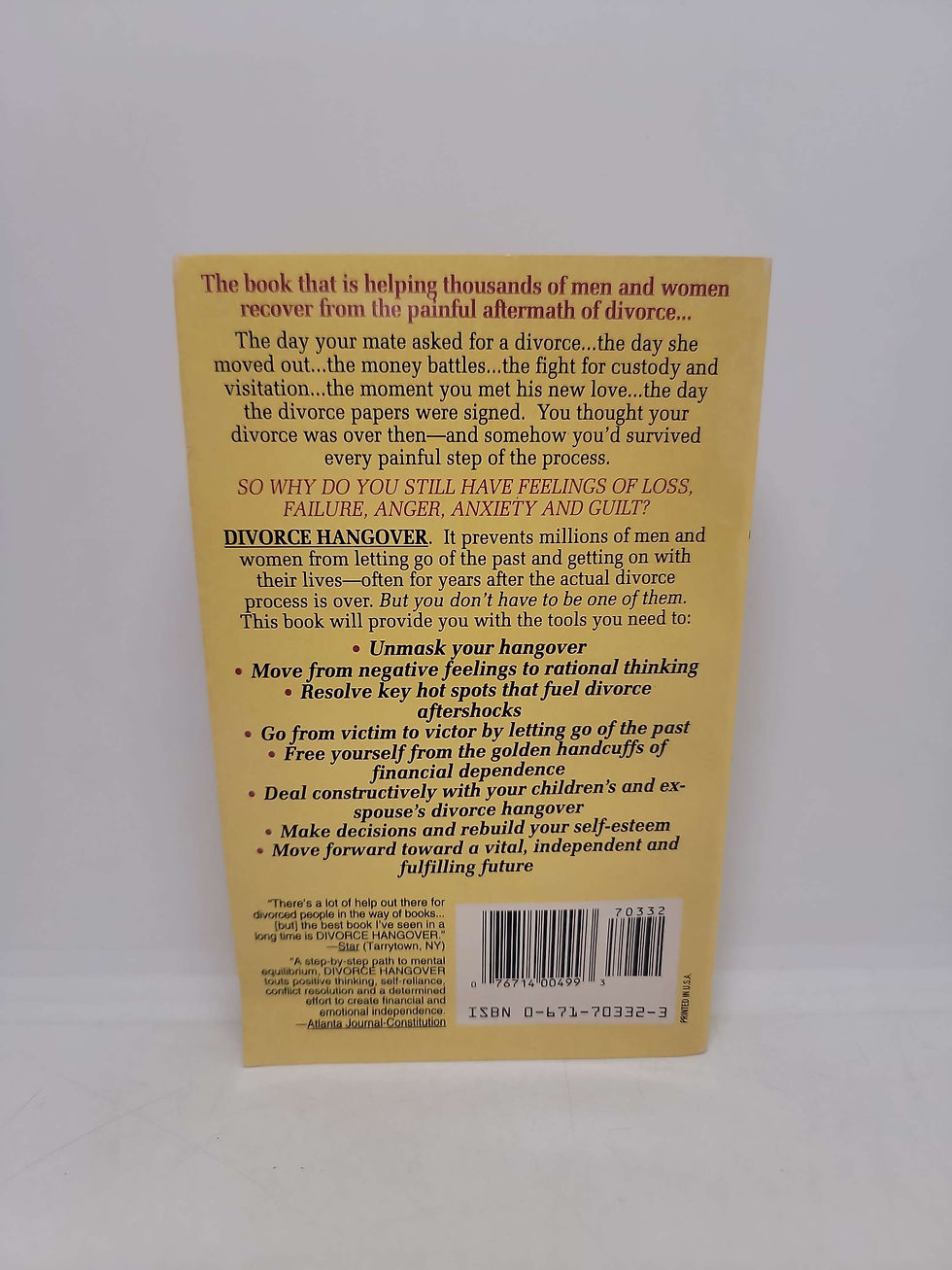 Thumbnail: Divorce Hangover by Anne N. Walther, M.S.