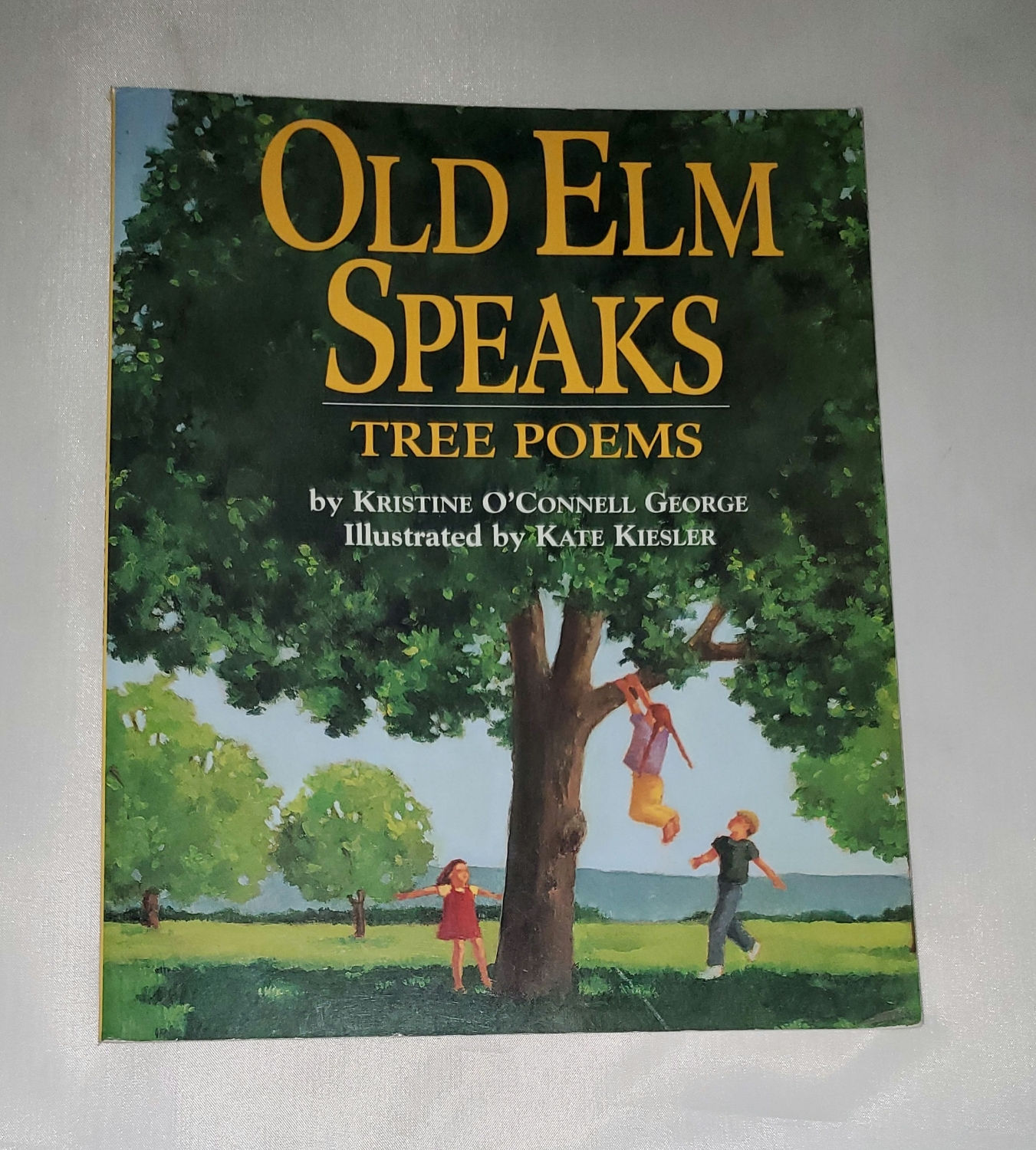 Old Elm Speaks Tree Poems by Kristine O'Connell George illus. by Kate Kiesler