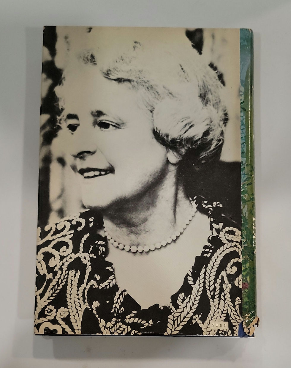 Thumbnail: An Important Family by Dorothy Eden