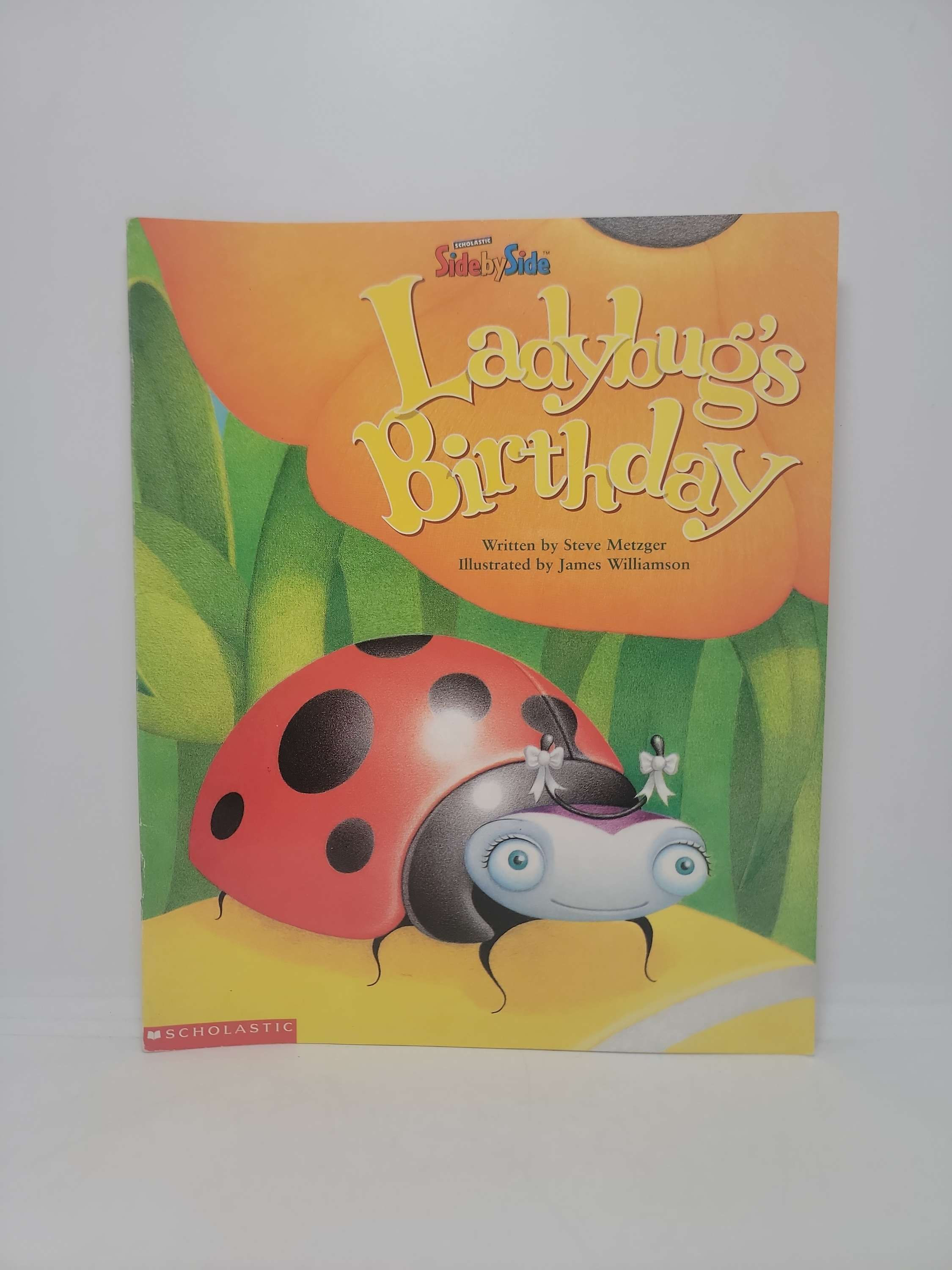 Ladybug's Birthday by Steve Metzger illustrated by James Williamson
