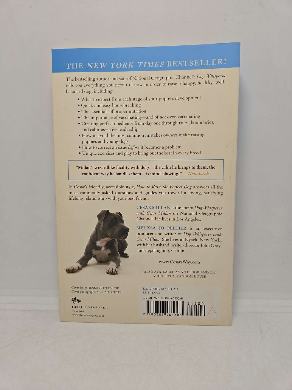 Thumbnail: How to Raise the Perfect Dog by Cesar's Milan