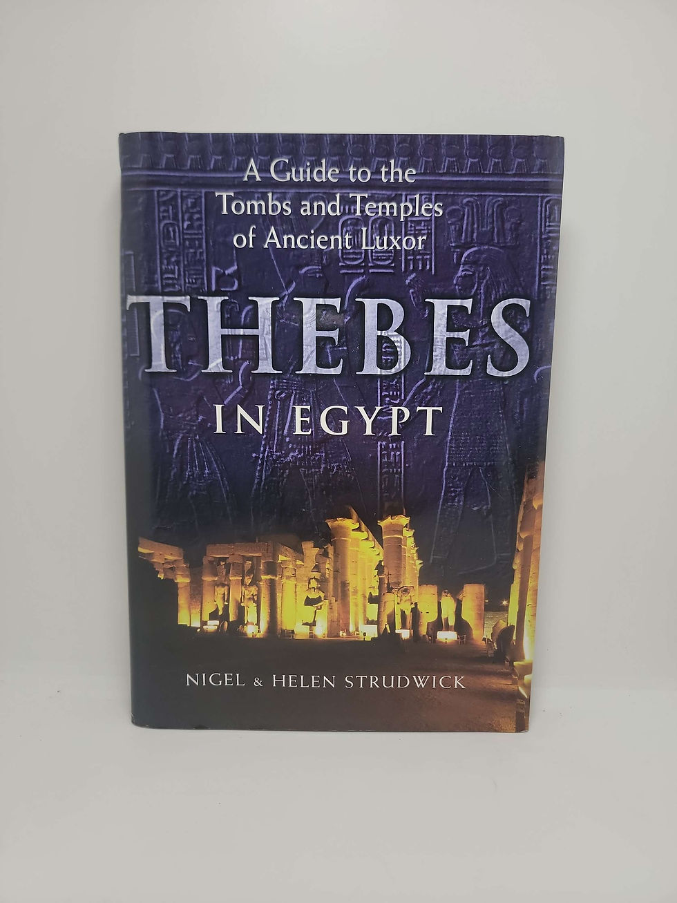 Thebes in Egypt by Nigel & Helen Strudwick