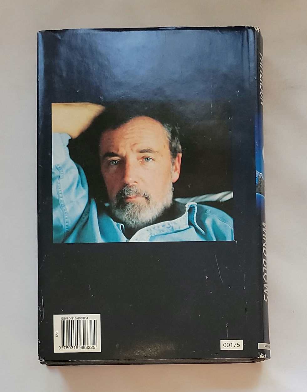 Thumbnail: When the Wind Blows by James Patterson