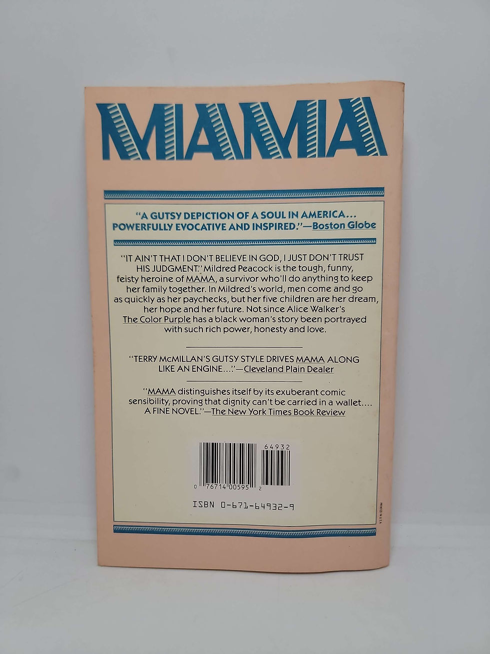 Thumbnail: Mama by Terry McMillan