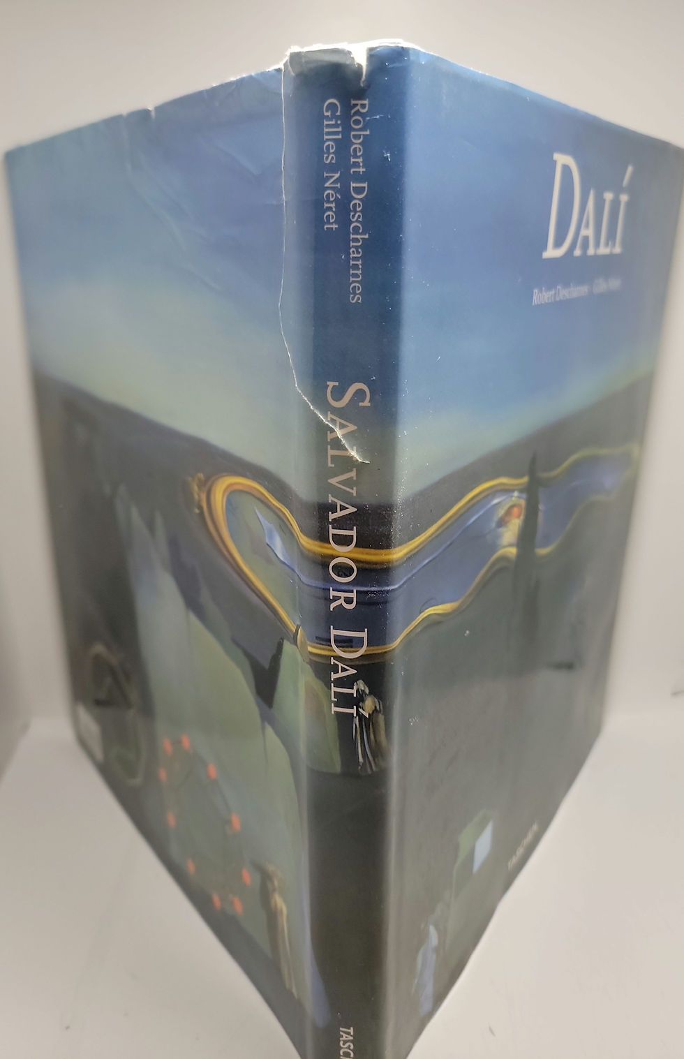 Thumbnail: Dalí by Robert Descharnes and Gilles Néret