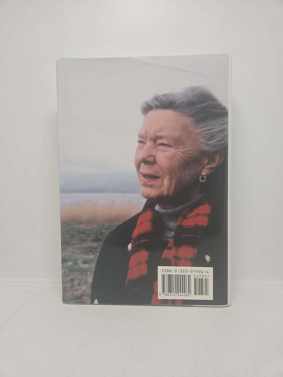 Thumbnail: Winter Solstice by Rosamunde Pilcher