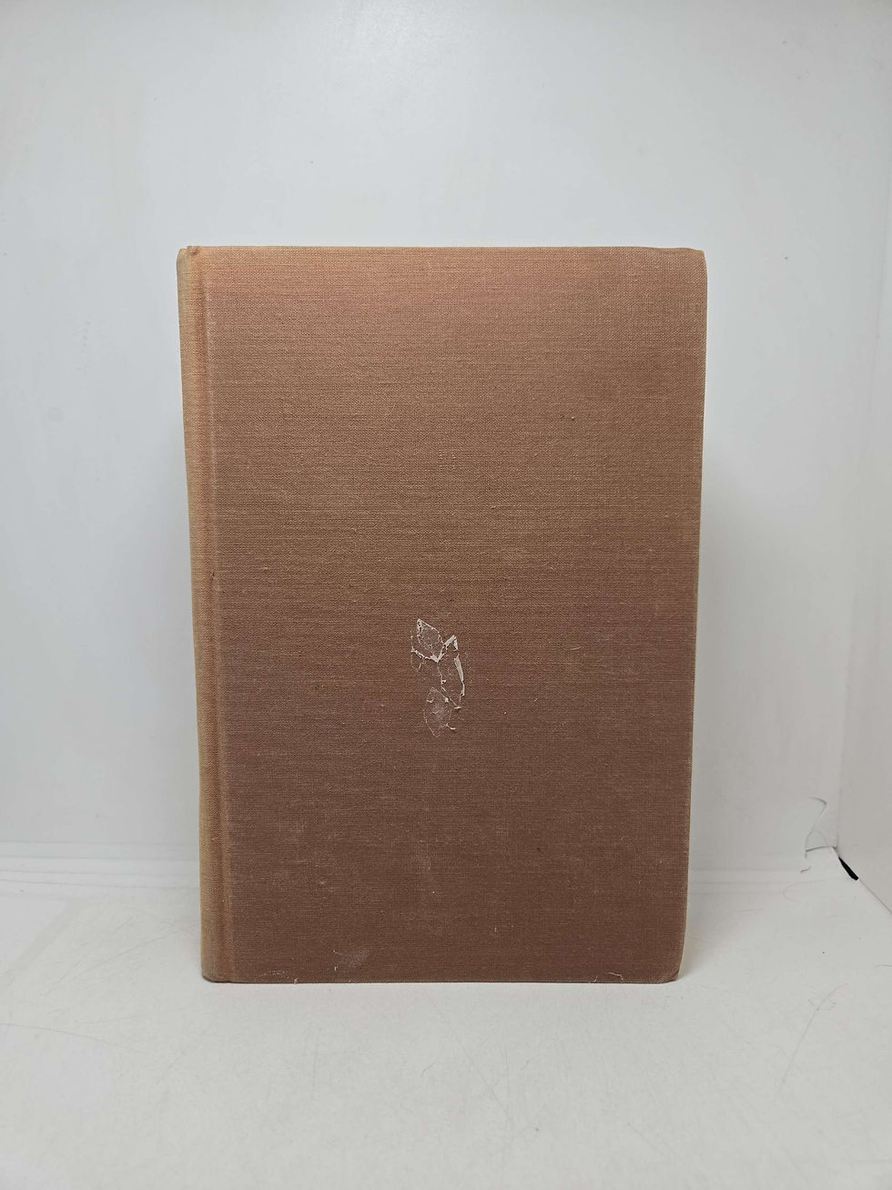 Thumbnail: The Person: His and Her Development Throughout the Life Cycle by Theodore Lidz