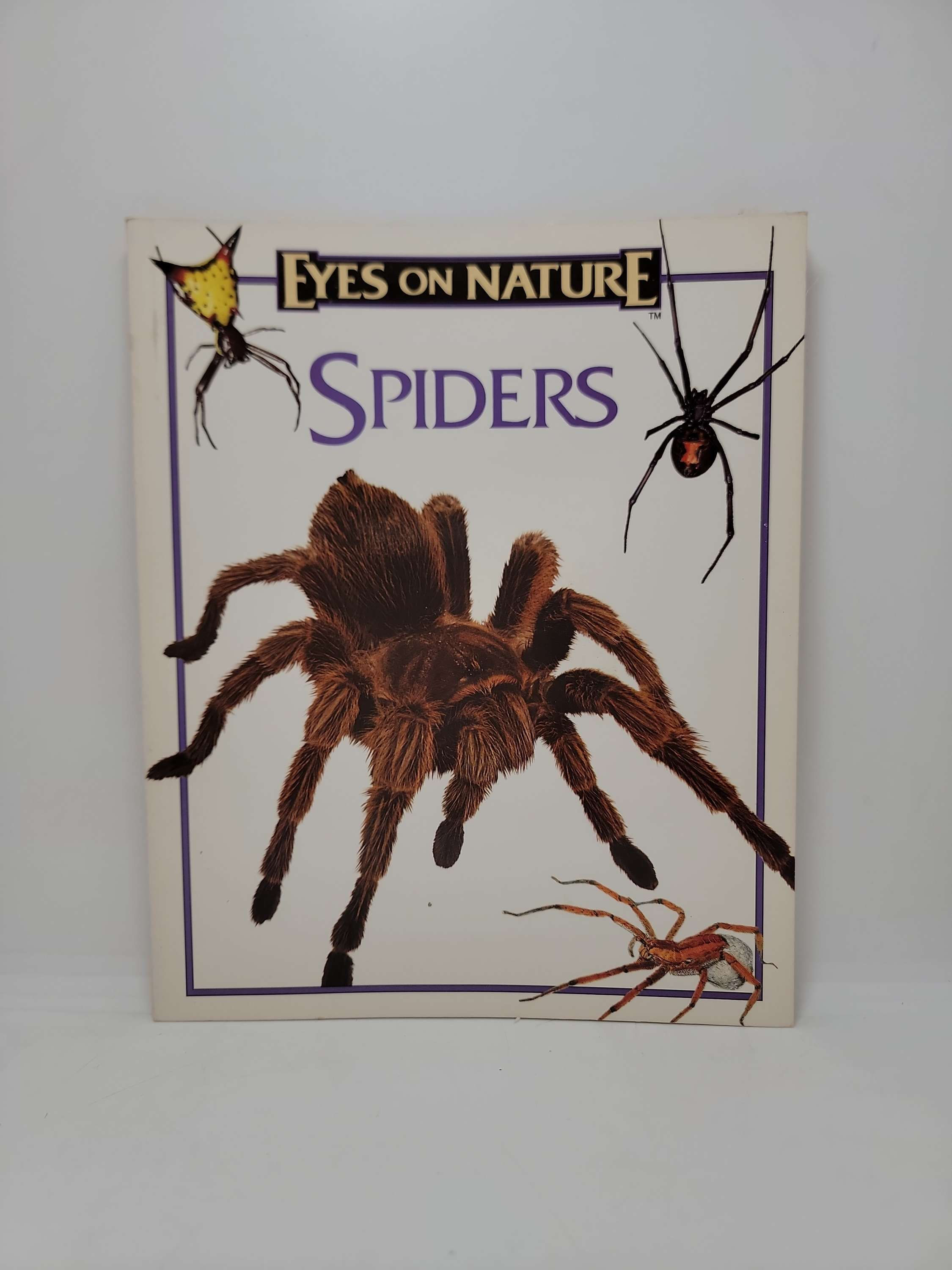 Eyes on Nature: Spiders