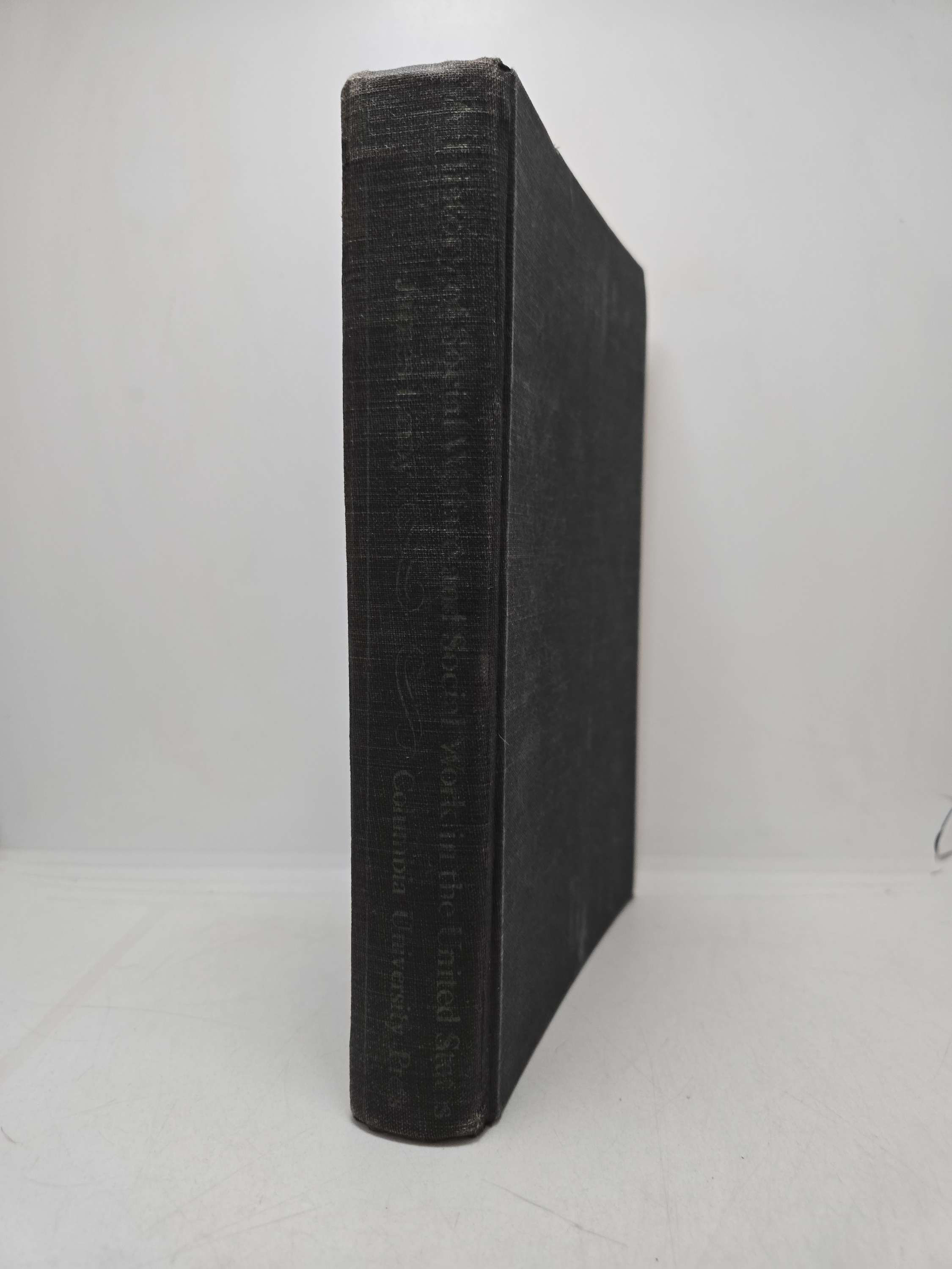 A History of Social Welfare and Social Work in the United States by James Leiby