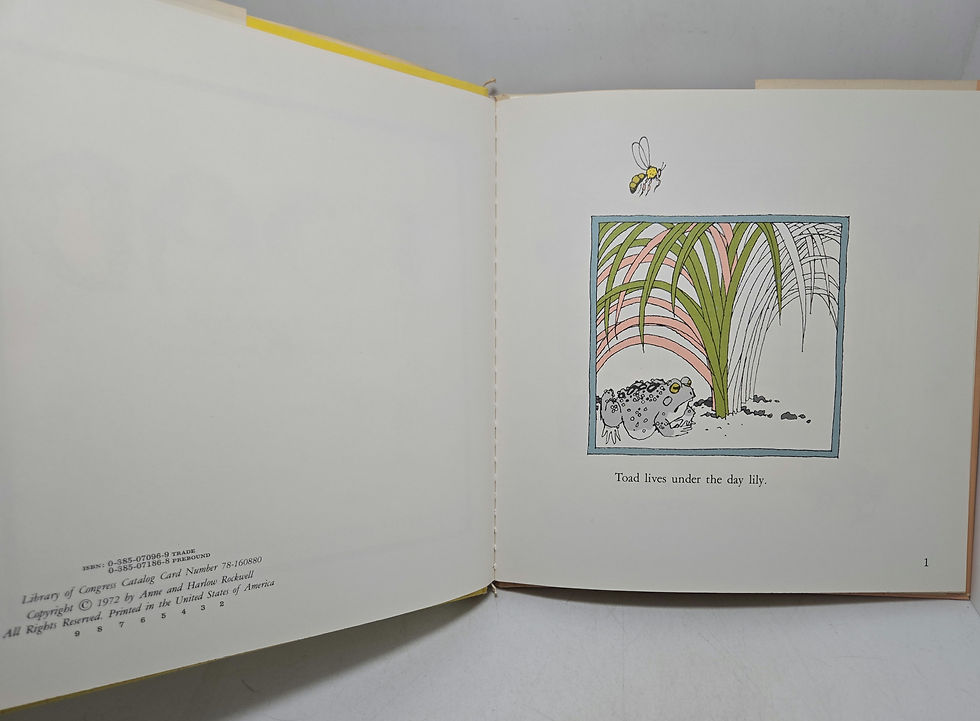 Thumbnail: Toad by Anne Rockwell illustrated by Harlow Rockwell