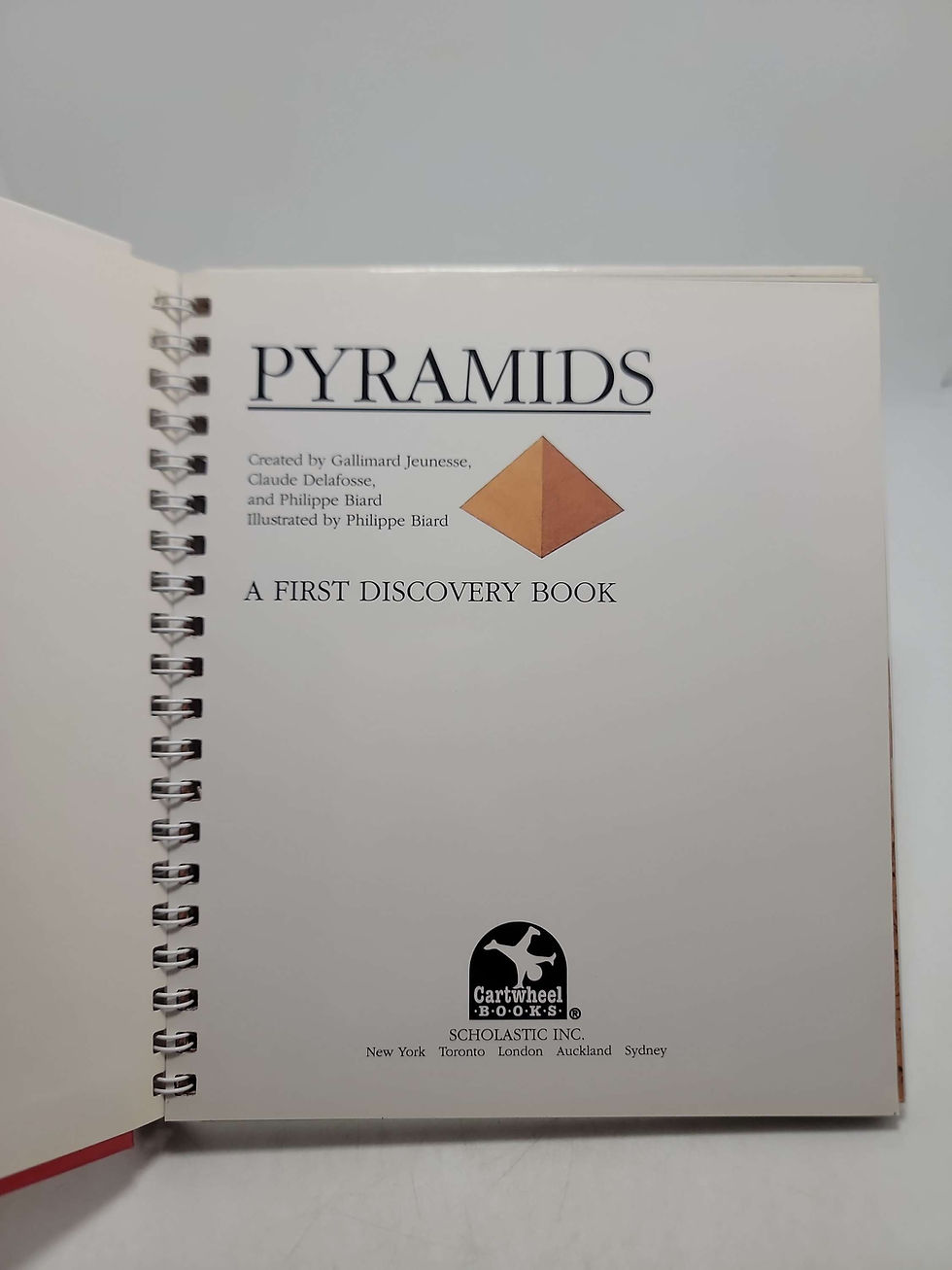 Thumbnail: Pyramids: A First Discovery Book