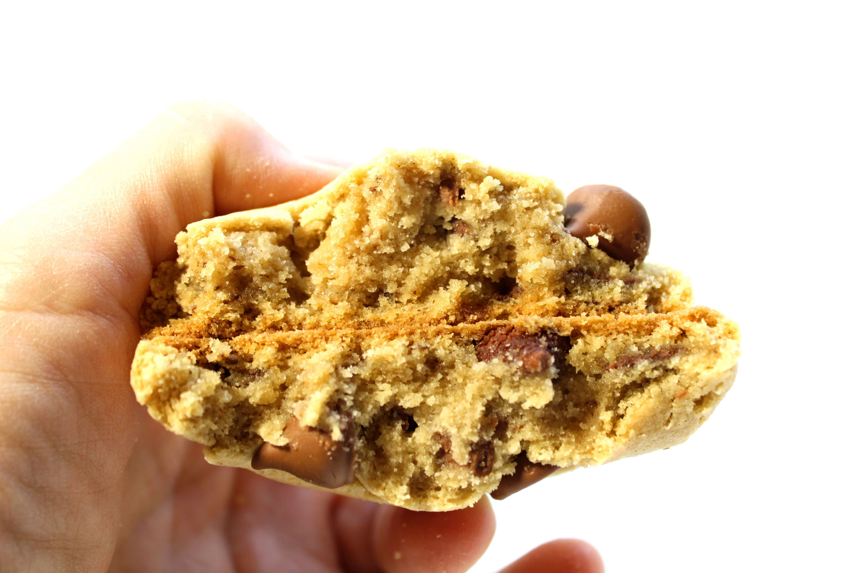 chocolate chip cookie