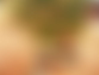 Bonefish Summer Tasting