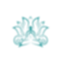 Symply Image Logo .png