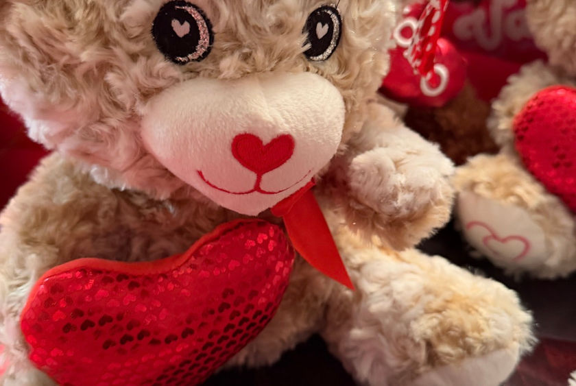 BGOS Volunteer Valentine's Day Outreach 2026