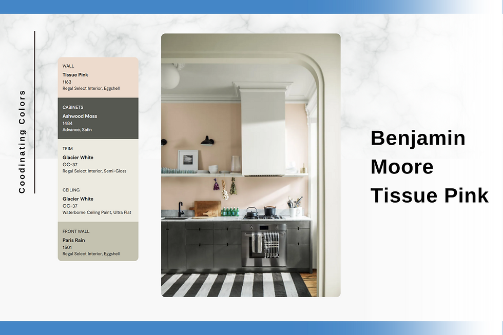 Benjamin Moore Tissue Pink, Colorado Painters