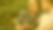 Donna Banner2.png