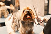 Grooming Salon  _edited_edited_edited.jpg