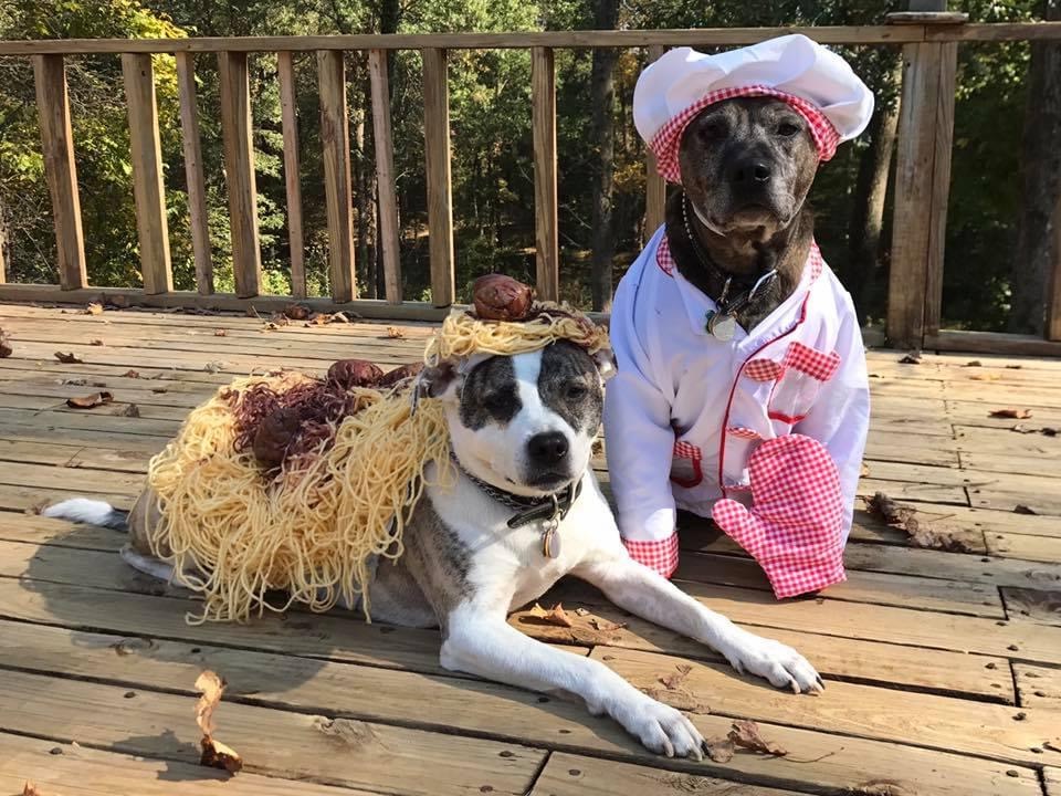 Adult w/ dog - 2nd Place