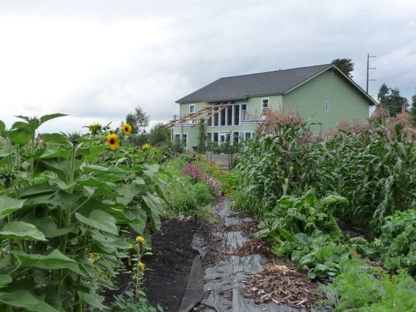 Bed & Breakfast House