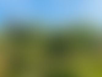 Finding Beauty: A 30-Day Photo Challenge