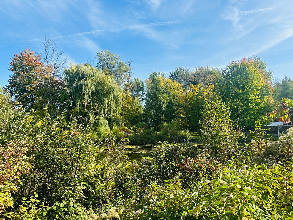 Finding Beauty: A 30-Day Photo Challenge