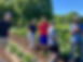 IMG_5884.jpeg