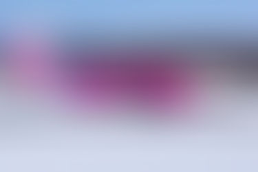 Peach Aviation - Non type-rated A320 Captains