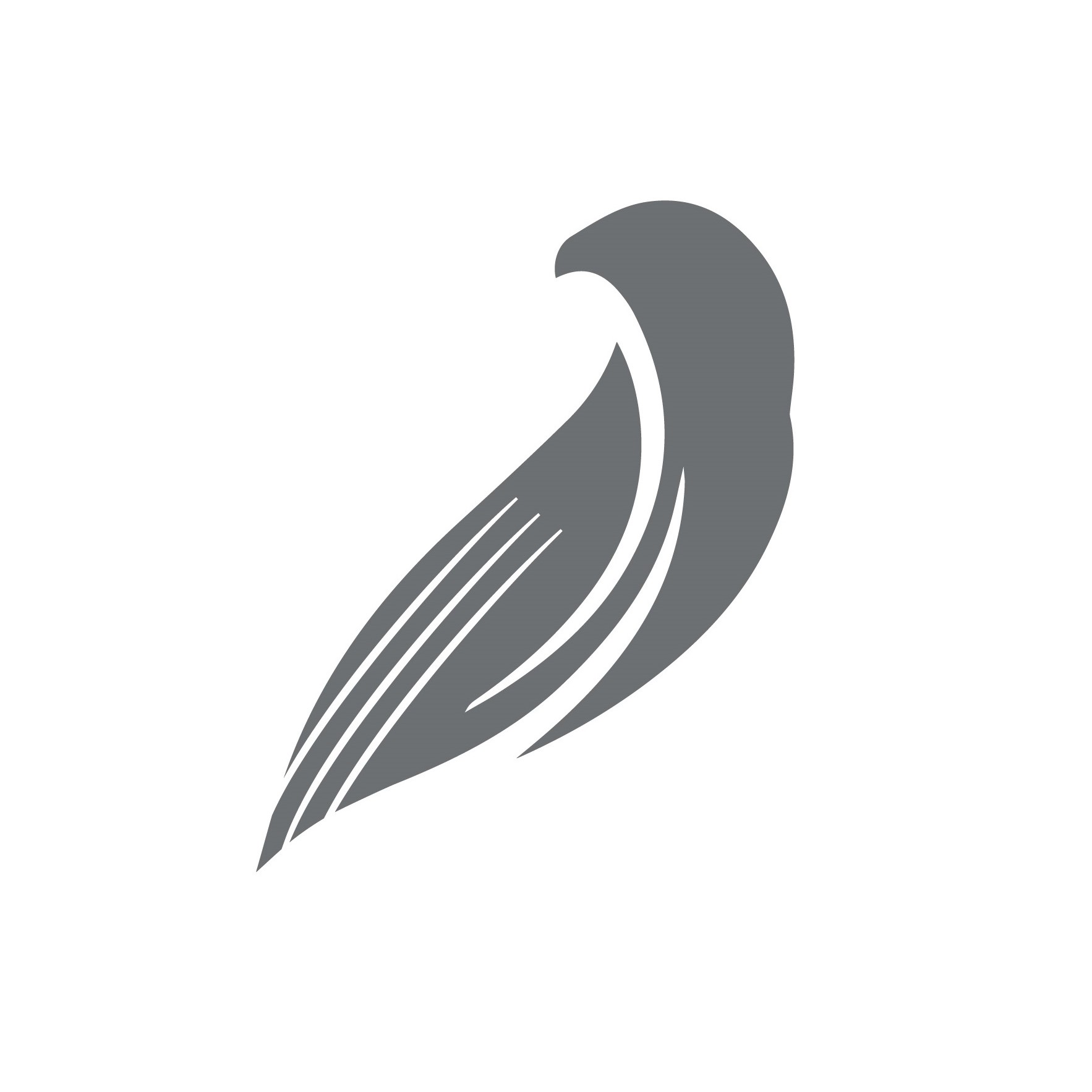 Writer: AviationNetwork