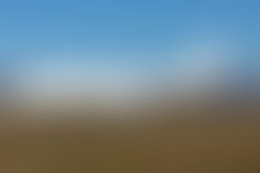 AirX - Lineage 1000 - First Officer