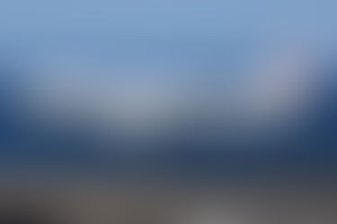 Brussels Airlines - A320 First Officers