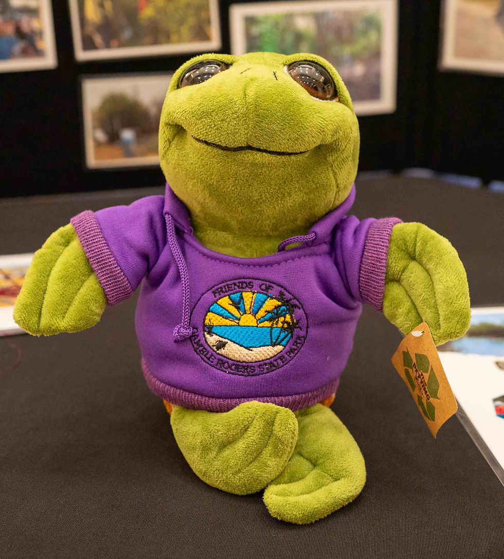 Frogger - Friends of Gamble Rogers mascot