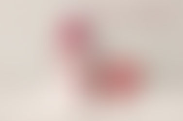 Que vous réserve le week-end du 28 février et 1er mars 2026 ?