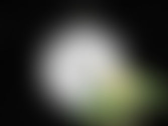 31 mai 2026 - Pleine Lune en Sagittaire : vos minis prévisions astrologiques