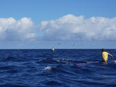Molokai 2025